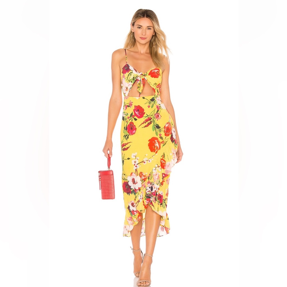 Clinton Midi Dress - Revolve